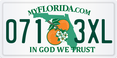 FL license plate 0713XL