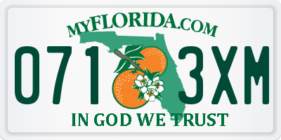 FL license plate 0713XM