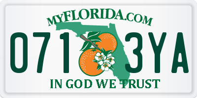 FL license plate 0713YA