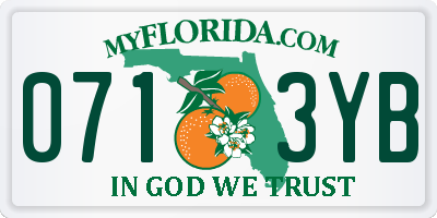 FL license plate 0713YB