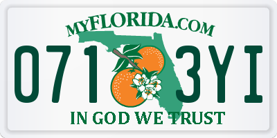 FL license plate 0713YI
