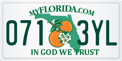 FL license plate 0713YL
