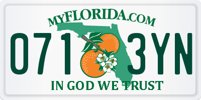 FL license plate 0713YN