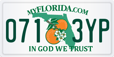 FL license plate 0713YP