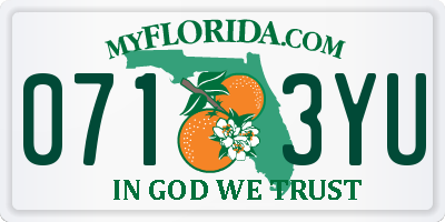 FL license plate 0713YU