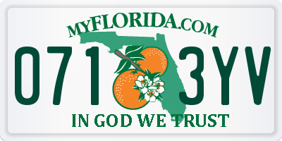 FL license plate 0713YV