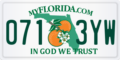 FL license plate 0713YW