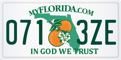 FL license plate 0713ZE