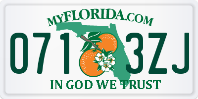FL license plate 0713ZJ