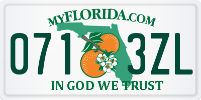 FL license plate 0713ZL
