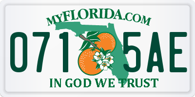 FL license plate 0715AE