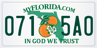 FL license plate 0715AO