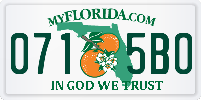 FL license plate 0715BO