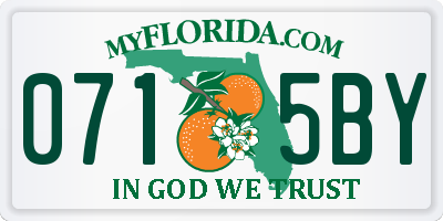 FL license plate 0715BY