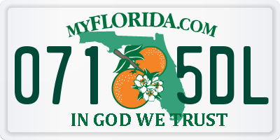 FL license plate 0715DL