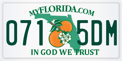 FL license plate 0715DM