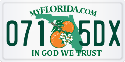 FL license plate 0715DX