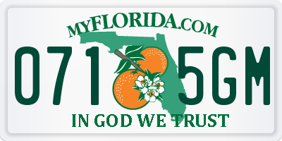 FL license plate 0715GM