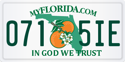 FL license plate 0715IE