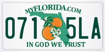 FL license plate 0715LA
