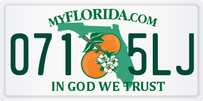 FL license plate 0715LJ