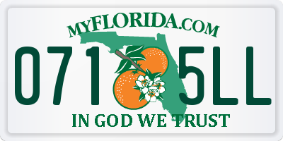 FL license plate 0715LL