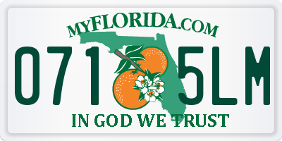 FL license plate 0715LM