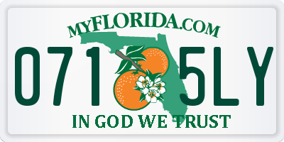 FL license plate 0715LY
