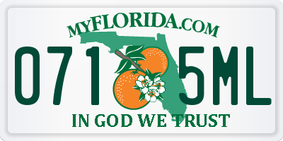 FL license plate 0715ML