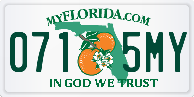 FL license plate 0715MY