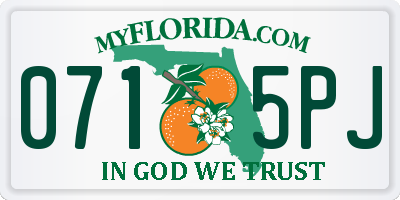 FL license plate 0715PJ