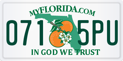 FL license plate 0715PU