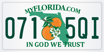 FL license plate 0715QI