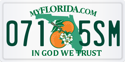 FL license plate 0715SM