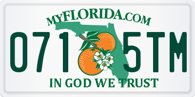 FL license plate 0715TM