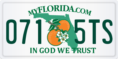 FL license plate 0715TS