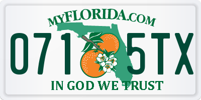 FL license plate 0715TX