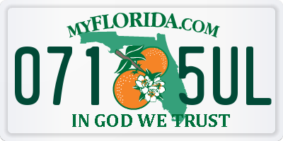 FL license plate 0715UL