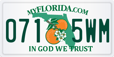 FL license plate 0715WM