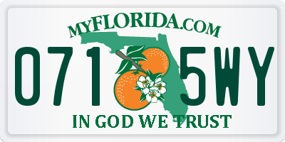 FL license plate 0715WY