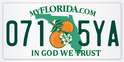 FL license plate 0715YA