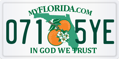 FL license plate 0715YE