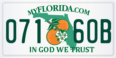 FL license plate 0716OB