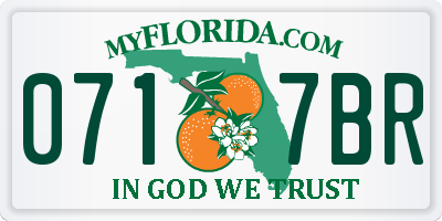 FL license plate 0717BR