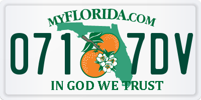 FL license plate 0717DV