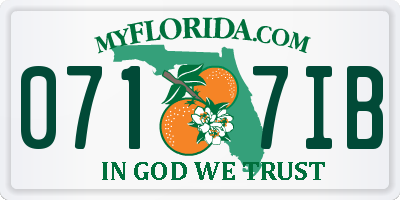 FL license plate 0717IB