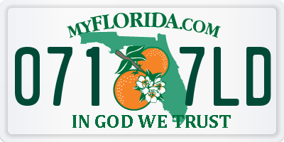 FL license plate 0717LD