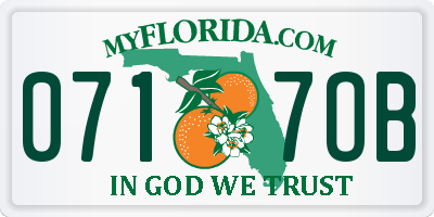 FL license plate 0717OB