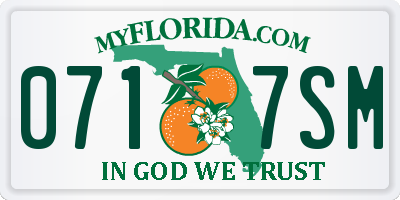 FL license plate 0717SM