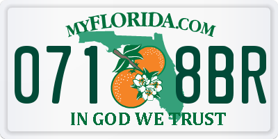 FL license plate 0718BR